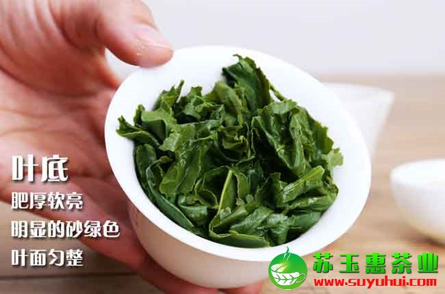 安溪鐵觀音100克多少價(jià)格呢