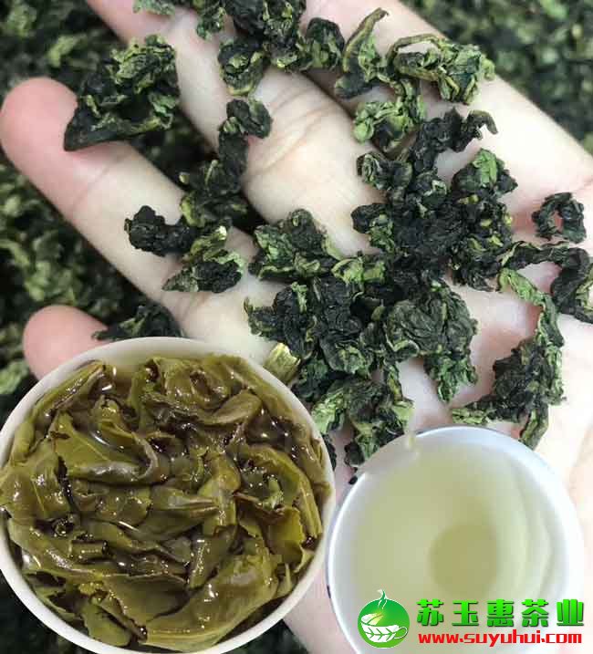正炒鐵觀音茶多少錢一斤？