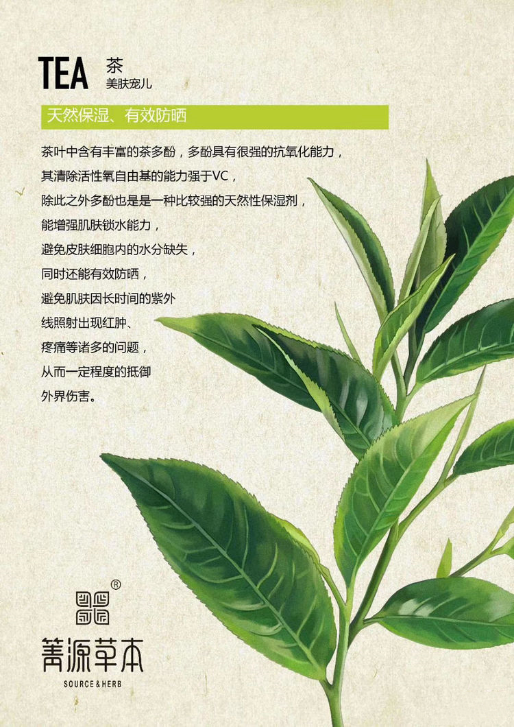 箐源草本臭水13大成分功效及調膚原理