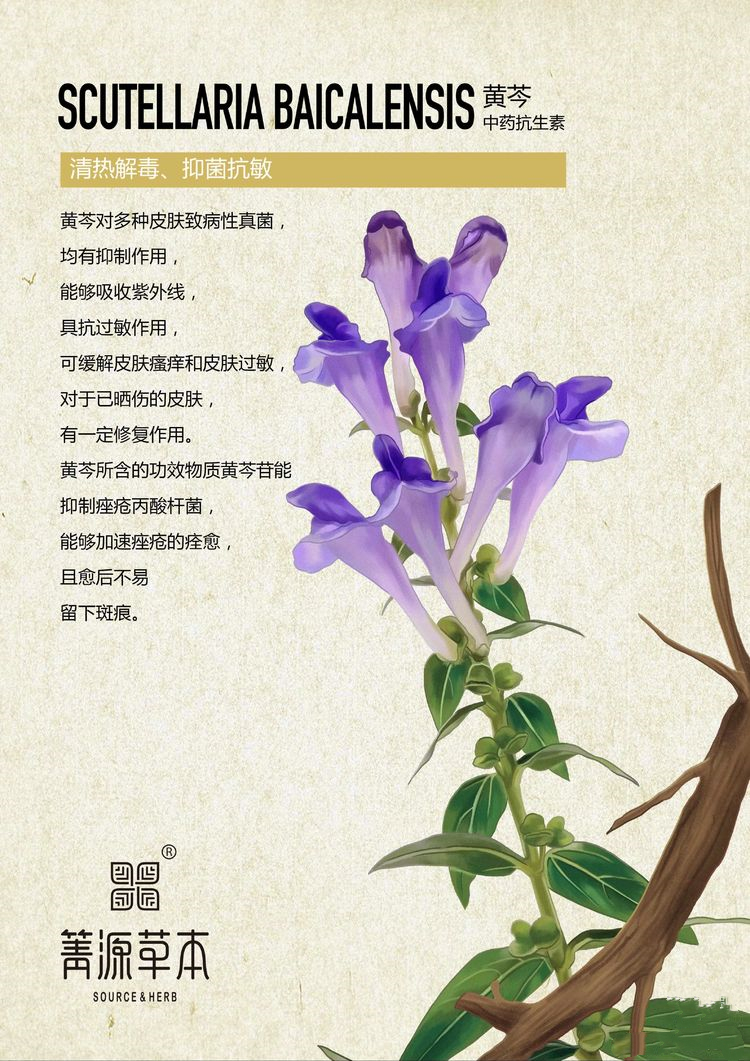 箐源草本臭水13大成分功效及調膚原理